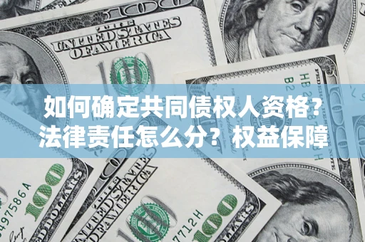 北京如何确定共同债权人资格？法律责任怎么分？权益保障技巧揭秘！