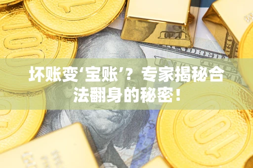 北京坏账变‘宝账’？专家揭秘合法翻身的秘密！