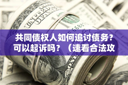 北京共同债权人如何追讨债务？可以起诉吗？（速看合法攻略）