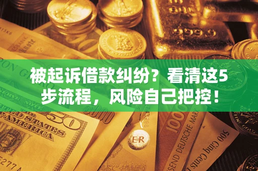 北京被起诉借款纠纷？看清这5步流程，风险自己把控！
